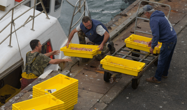 La pesca percorso professionale per i giovani