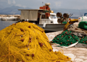 Lo Stato della pesca nel Mediterraneo e nel Mar Nero