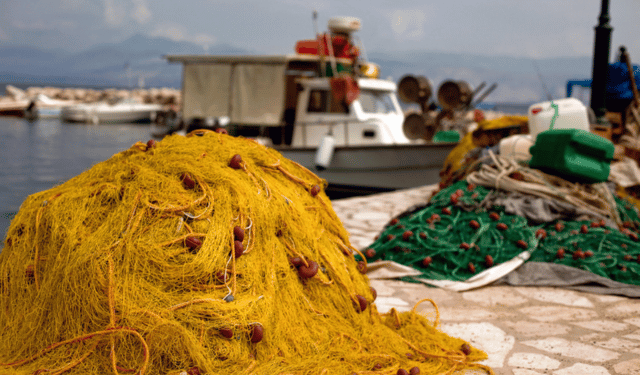 Lo Stato della pesca nel Mediterraneo e nel Mar Nero