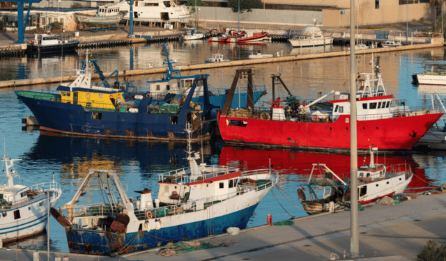 Mediterranean Fisheries Prepare for a Key Governance Moment with the Release of SoMFi 2025
