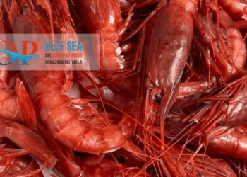 O.P. Blue Sea Mazara del Vallo