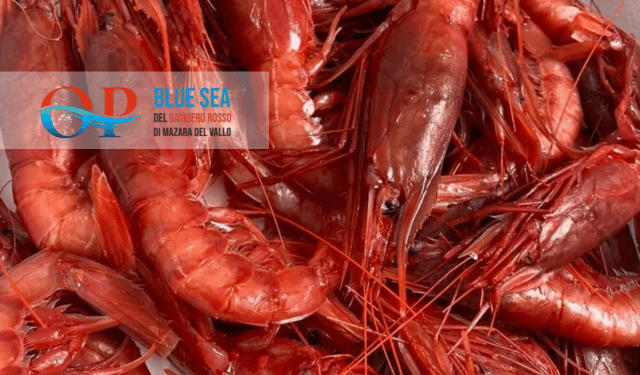 O.P. Blue Sea Mazara del Vallo