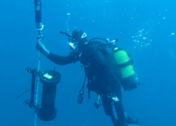 Ocean Acidification in the Bay of Biscay- Two Decades of Data Reveal a Silent Shift