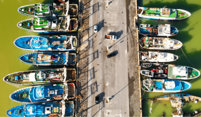 Relazione annuale sugli sforzi compiuti dall’Italia nel 2024