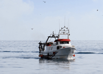 Scognamiglio via libera alla pesca da dicembre