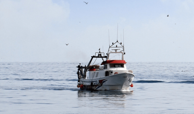 Scognamiglio via libera alla pesca da dicembre