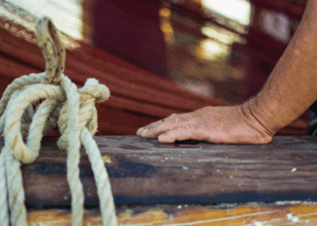 Sicilian ports where fishing meets mariculture