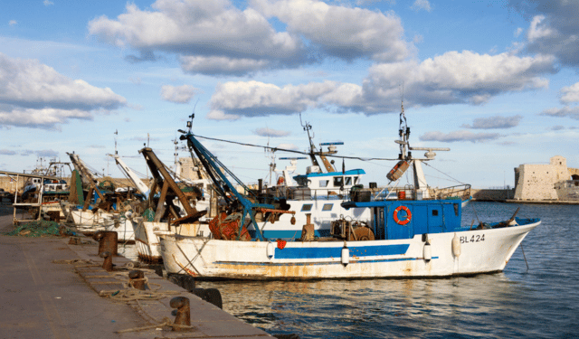 Sustainability reporting in the fishing industry