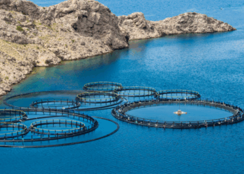 acquacoltura globale