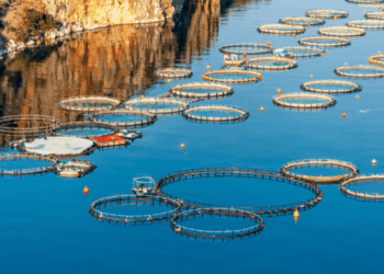 acquacoltura sostenibile