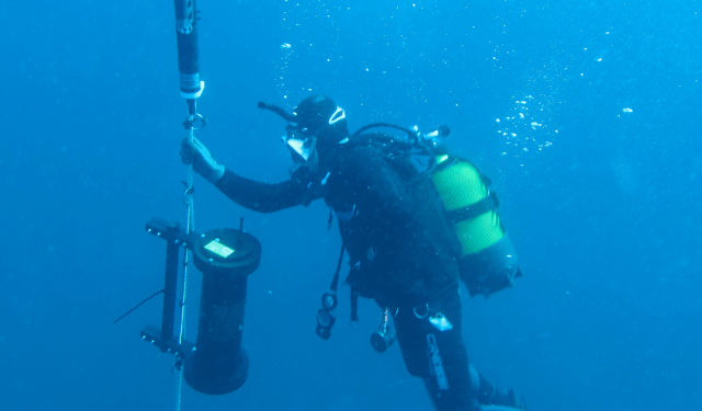 acidificazione del Golfo di Biscaglia