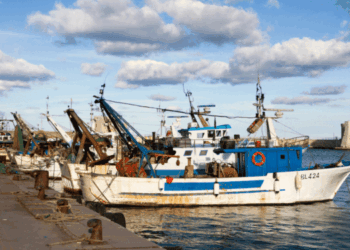 bilancio di sostenibilità imprese della pesca