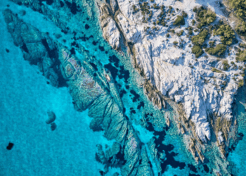 biodiversità marina