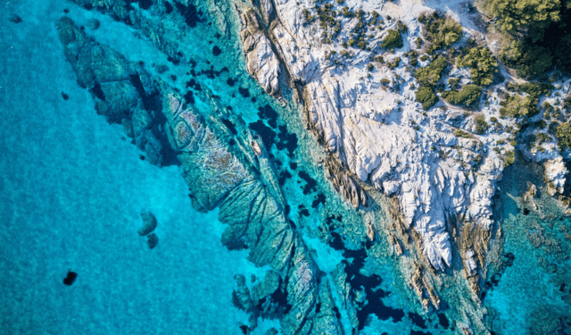 biodiversità marina