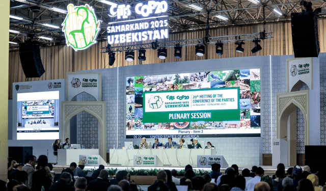 decisioni CITES alla CoP20