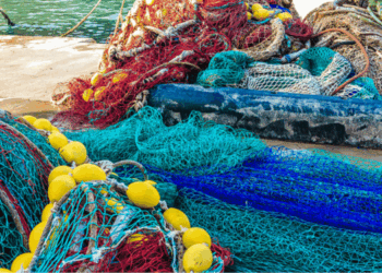 decreto fermo pesca Tirreno 2025