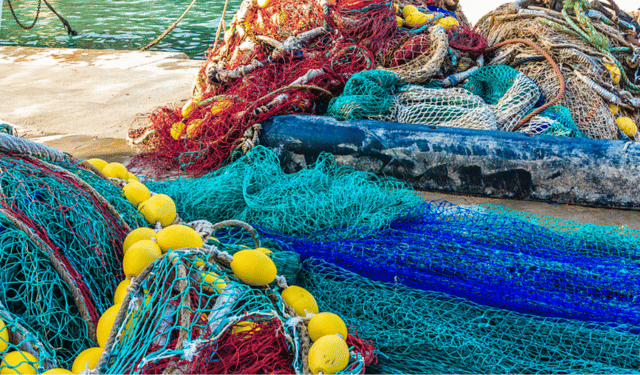 decreto fermo pesca Tirreno 2025