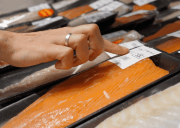 esportazioni ittiche norvegesi