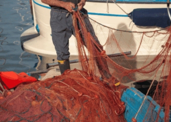 fermo pesca e ammortizzatori sociali