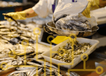 intelligenza artificiale applicata all’economia blu