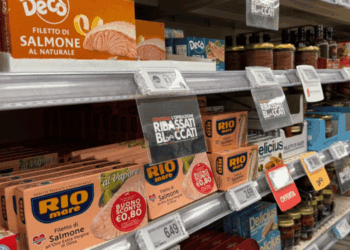 mercato del salmone in scatola