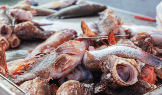 mercato ittico italiano 2025