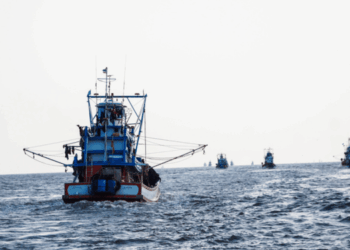 nuove norme UE controllo pesca 2025