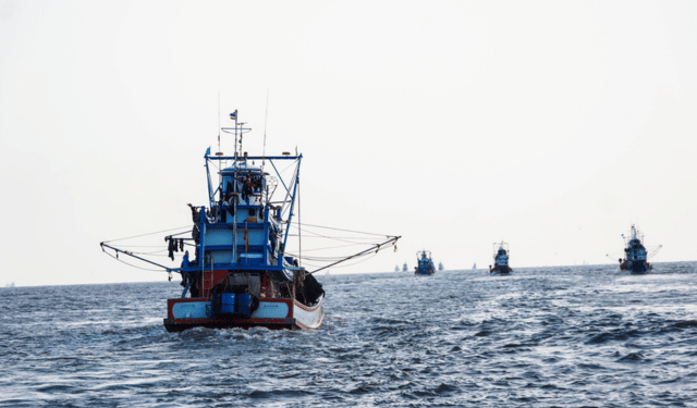 nuove norme UE controllo pesca 2025