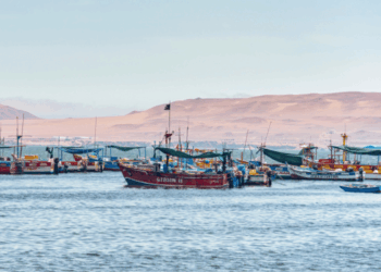 produzione globale di farina e olio di pesce