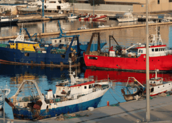 report SoMFi 2025 nel Mediterraneo