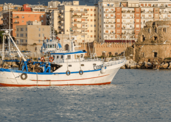 ripartenza pesca a strascico nel Tirreno