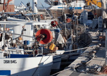 transizione energetica nel settore della pesca