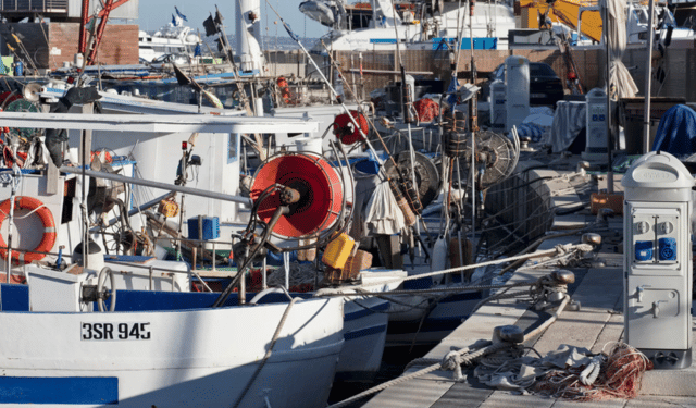 transizione energetica nel settore della pesca