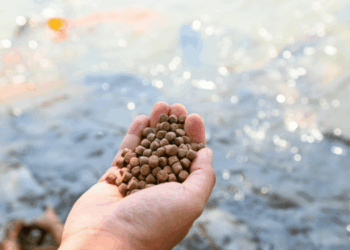 ASC Farm Standard 2025- One Framework for Aquaculture