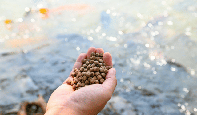 ASC Farm Standard 2025- One Framework for Aquaculture