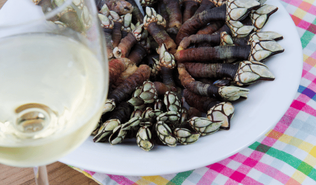 Asturian goose barnacles at Christmas stricter controls