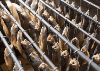 Climate Resilience Why EU Conclusions Matter for the Seafood Industry