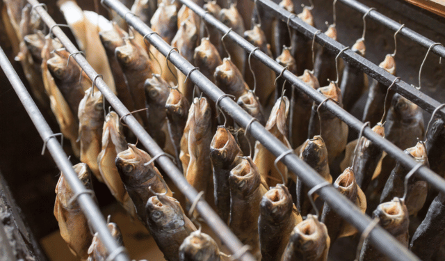 Climate Resilience Why EU Conclusions Matter for the Seafood Industry