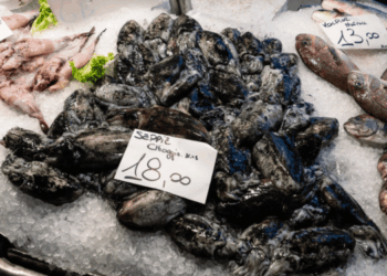 Denominazioni commerciali del pesce