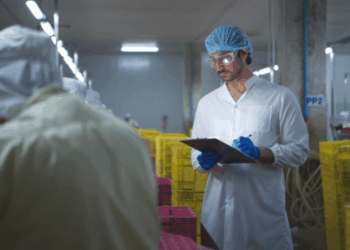 Italian seafood distribution chain of custody