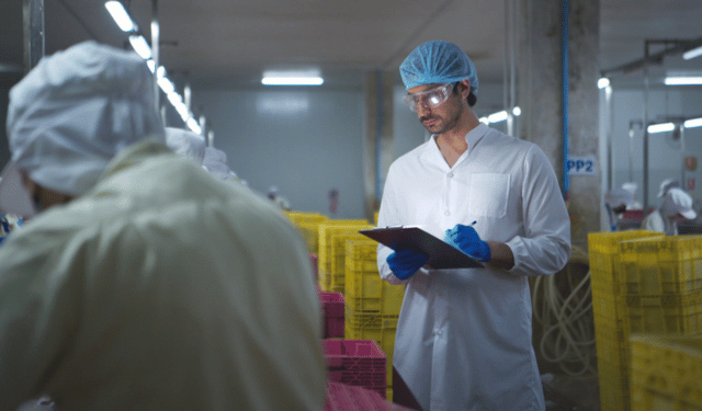 Italian seafood distribution chain of custody