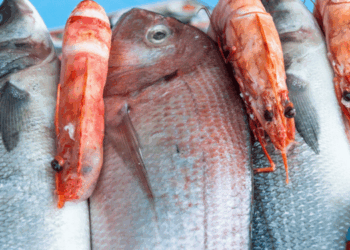 The EU Fish Market 2025