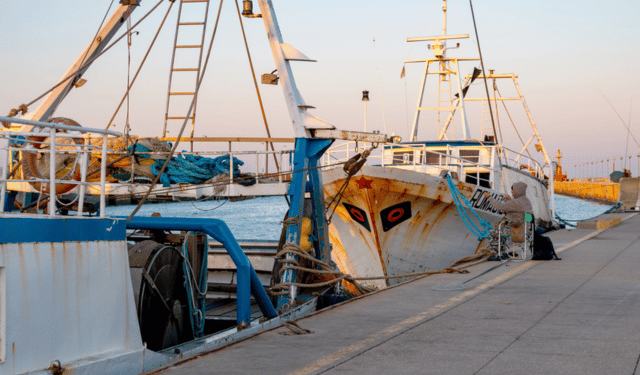 Western Mediterranean fishing opportunities the 2026 agreement