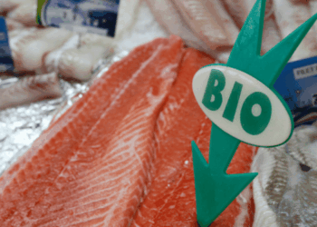 Organic Aquaculture in the EU: Market Size and Limits
