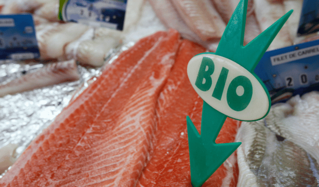Organic Aquaculture in the EU: Market Size and Limits
