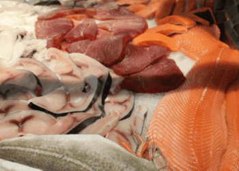 analisi EUMOFA mercati ittici europei