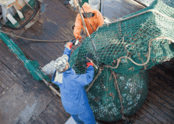 proposta UE per la pesca nel Mediterraneo 2026