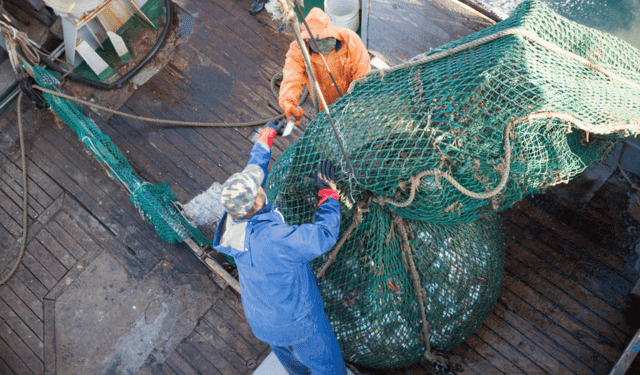 proposta UE per la pesca nel Mediterraneo 2026