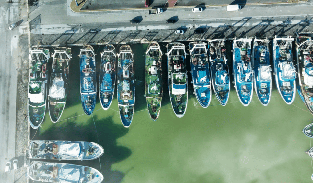 relazione economica flotta pesca UE 2025