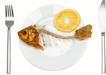scarti del pesce